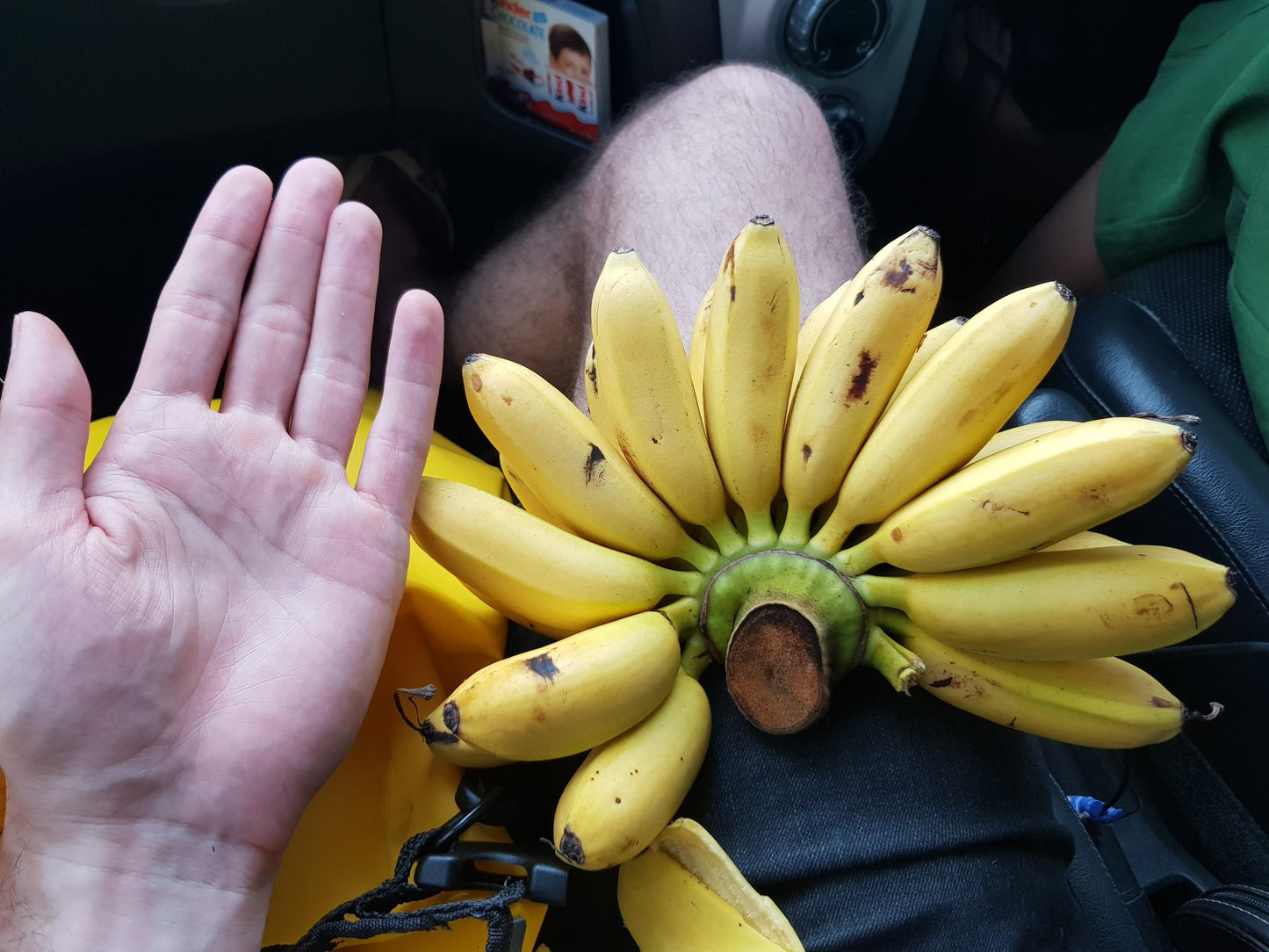 Thai Bananas - Freeze Dried