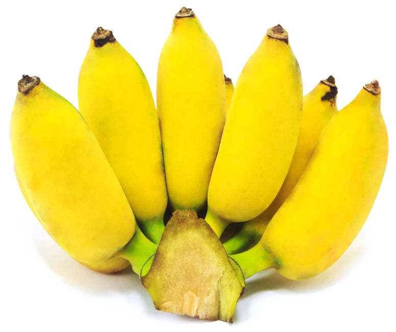 Thai Bananas - Freeze Dried